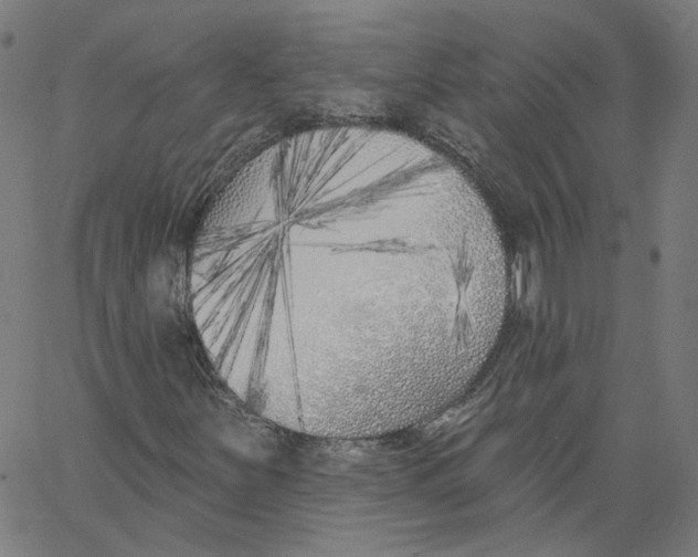 X0000061101251200512161339