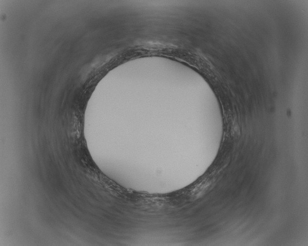 X0000061101253200512161339