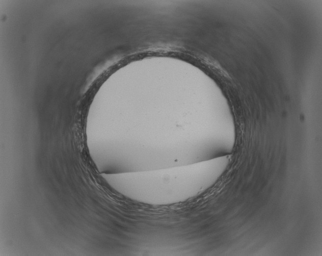 X0000061101256200512161339