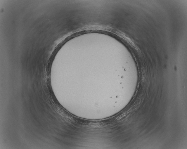 X0000061101264200512161339
