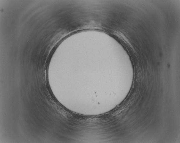 X0000061101268200512161339