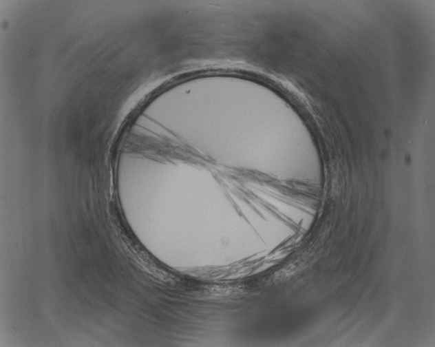 X0000061101271200512161339