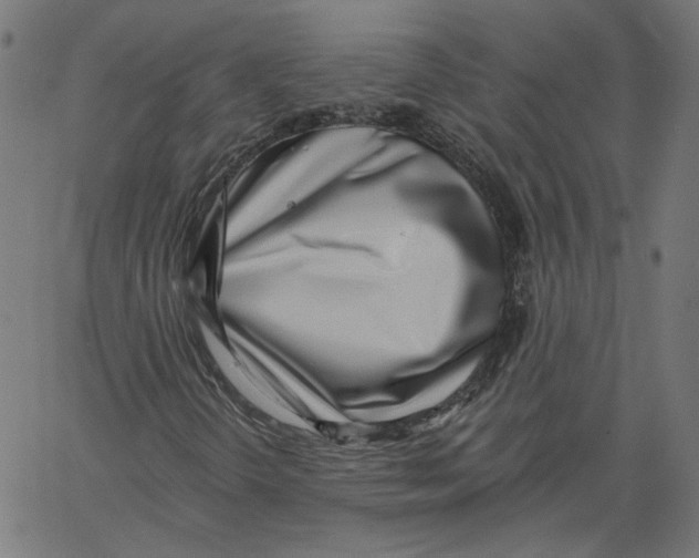 X0000061101298200512161338