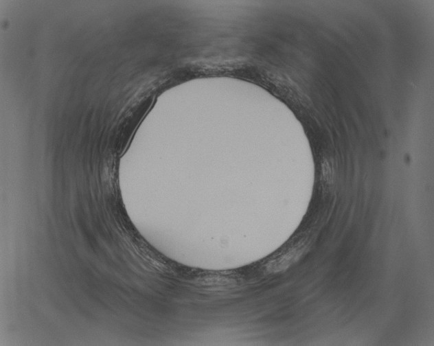 X0000061101300200512161338