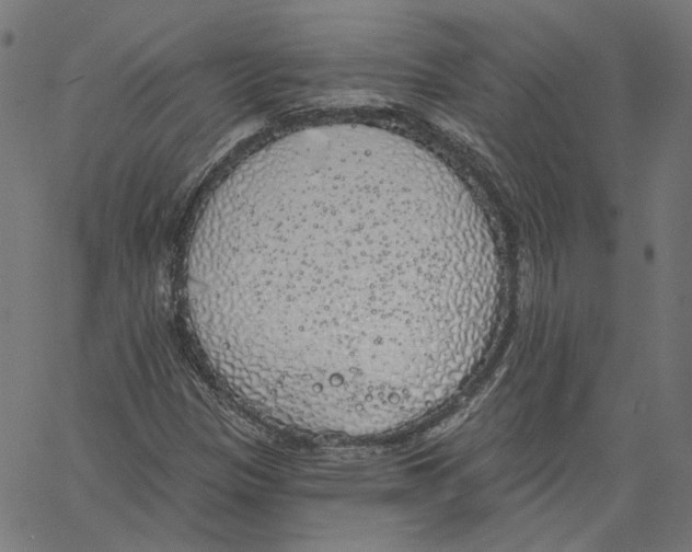 X0000061101305200512161338