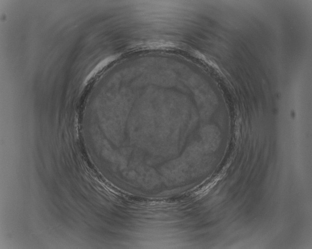 X0000061101306200512161338