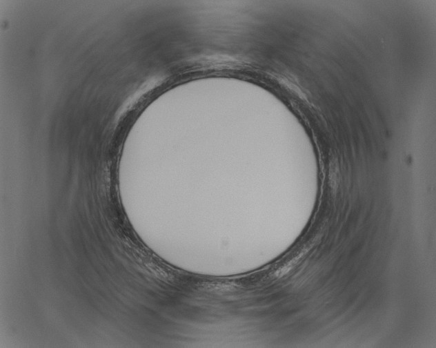 X0000061101309200512161338