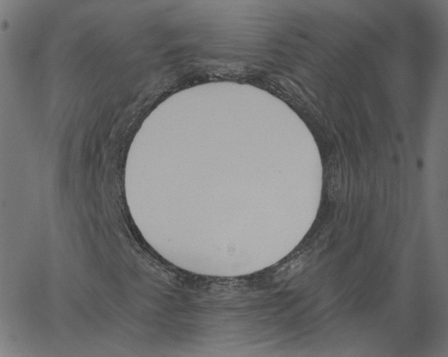 X0000061101345200512161338
