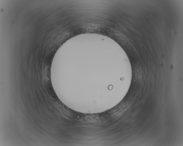 X0000061101346200512161338