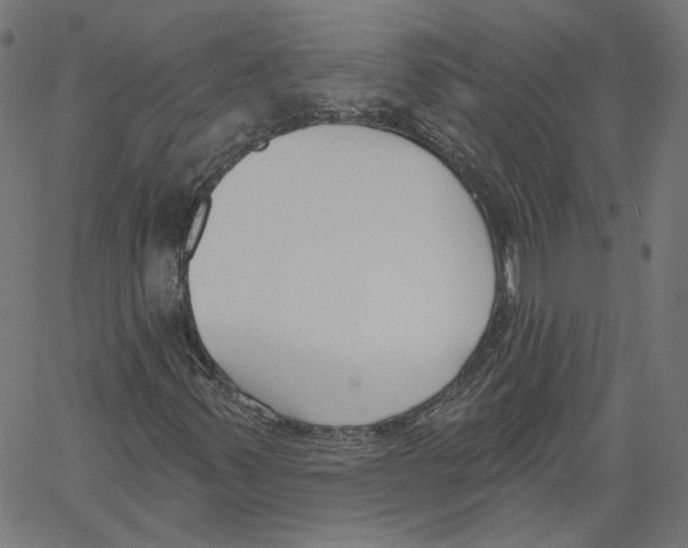 X0000061101347200512161338