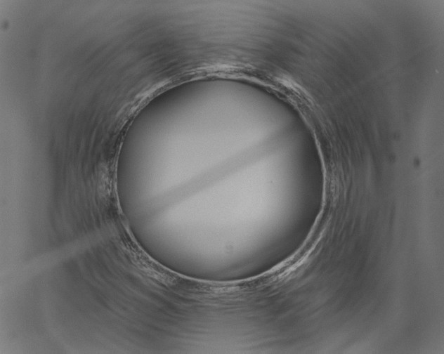 X0000061101353200512161338