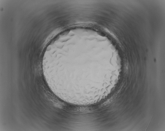 X0000061101362200512161337