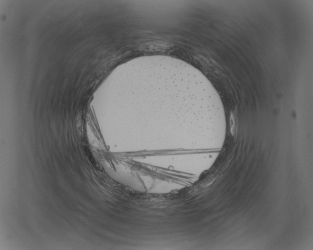 X0000061101395200512161336