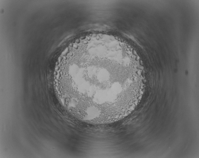 X0000061101399200512161336