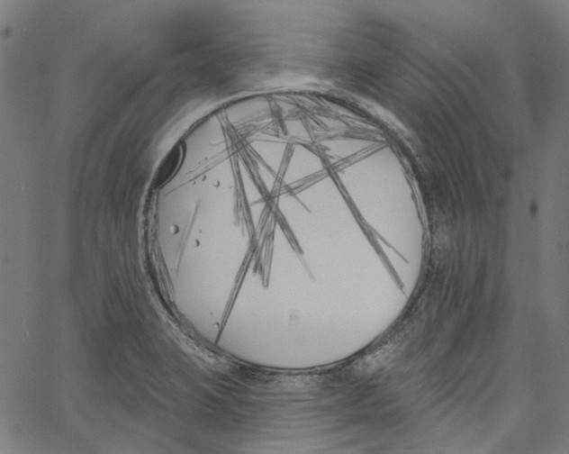 X0000061101423200512161337
