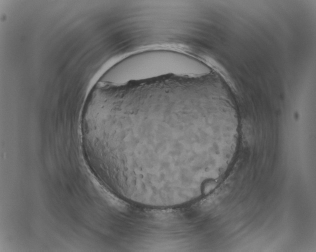 X0000061101428200512161337