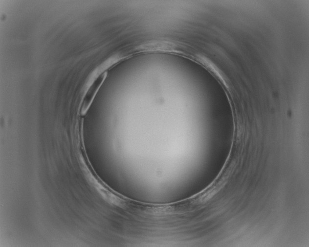 X0000061101434200512161337