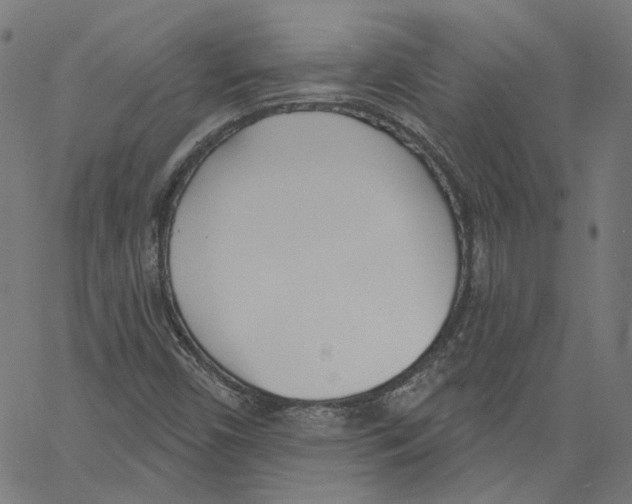 X0000061101450200512161336