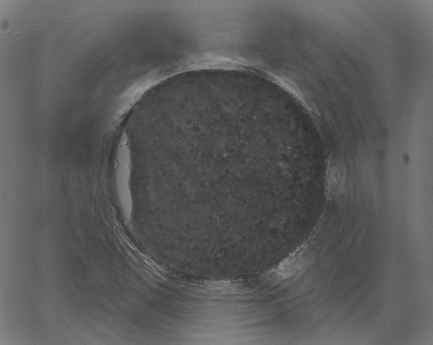 X0000061101455200512161336