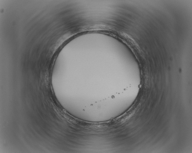 X0000061101457200512161336