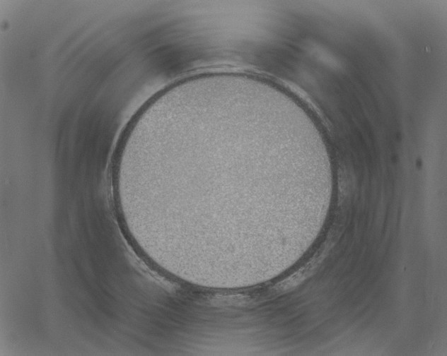 X0000061101466200512161336