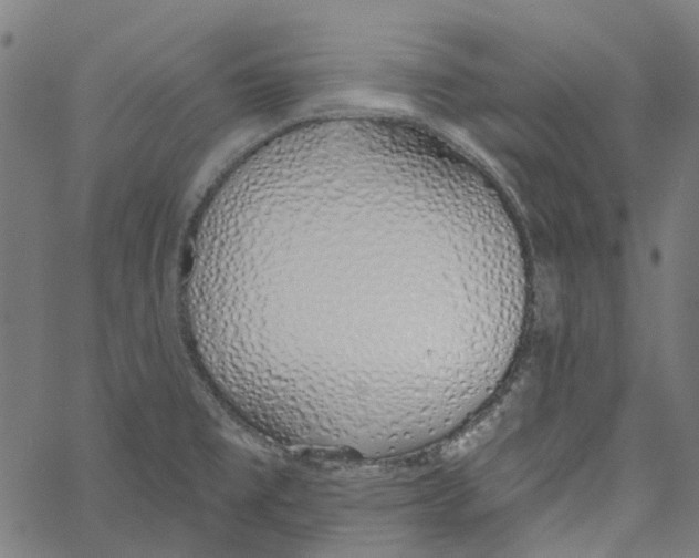 X0000061101477200512161336