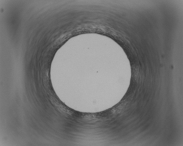 X0000061101489200512161335