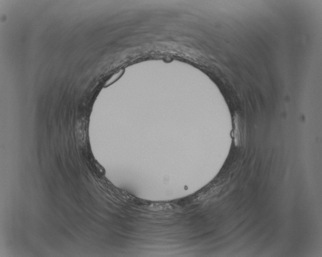X0000061101491200512161335