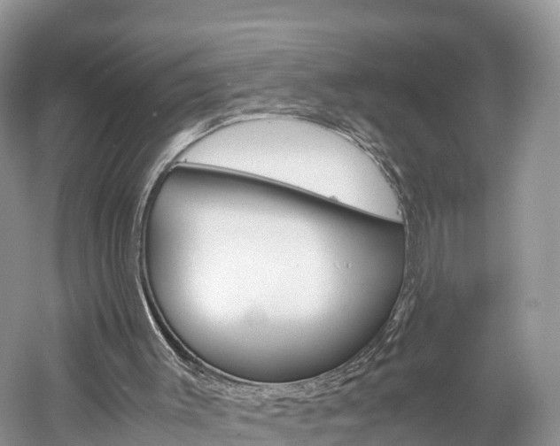 X0000061110003200511180946