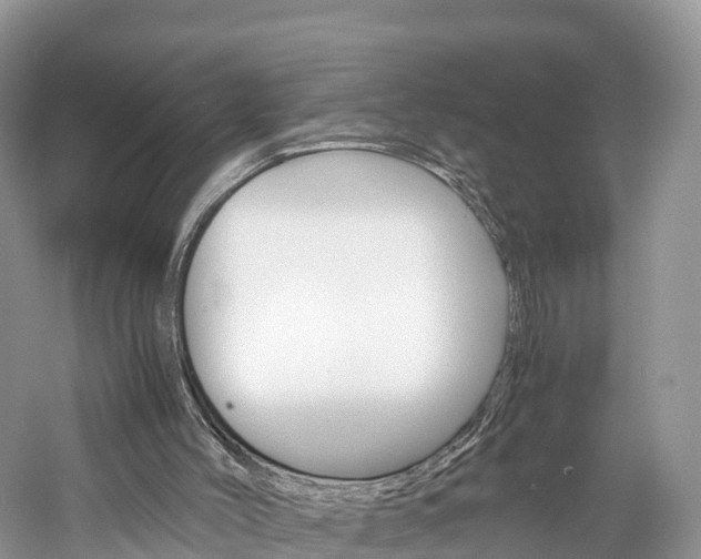 X0000061110004200511180946