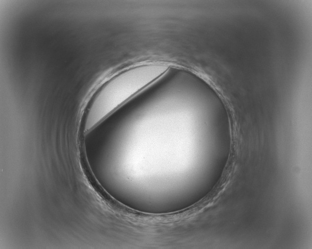 X0000061110007200511180946