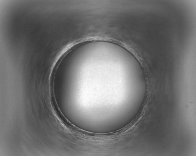 X0000061110008200511180946