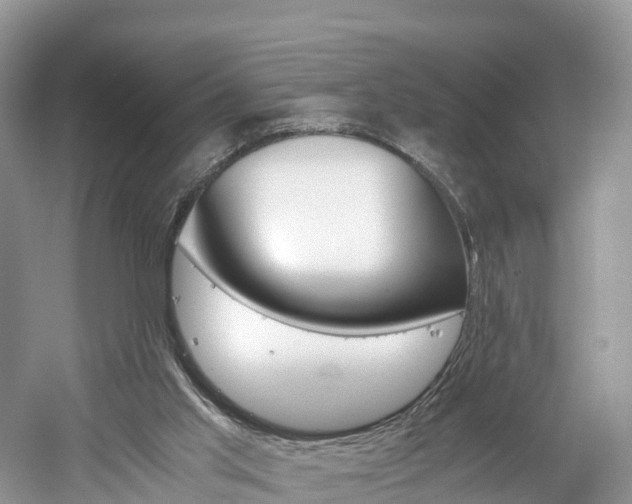 X0000061110013200511180946