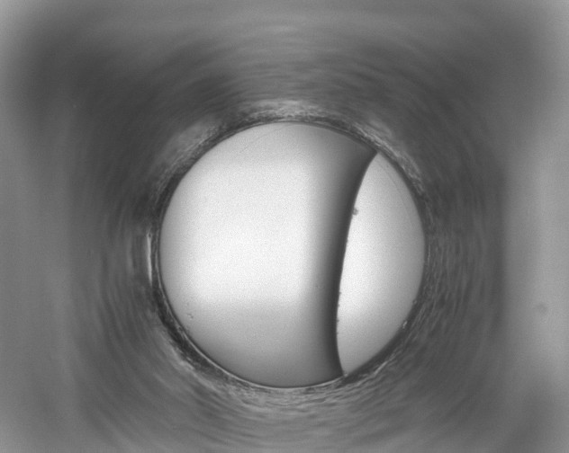 X0000061110014200511180946