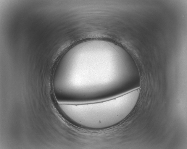 X0000061110015200511180946