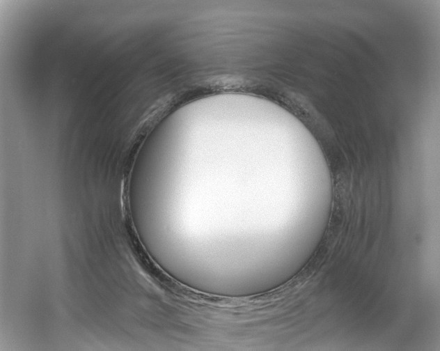 X0000061110024200511180946