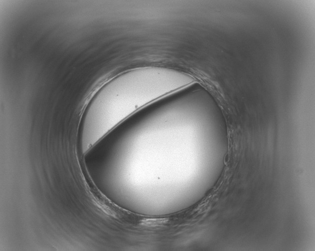 X0000061110051200511180945