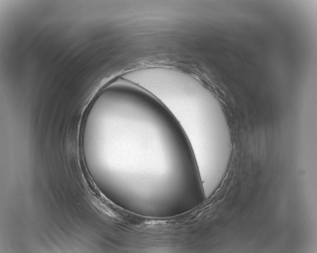 X0000061110052200511180945