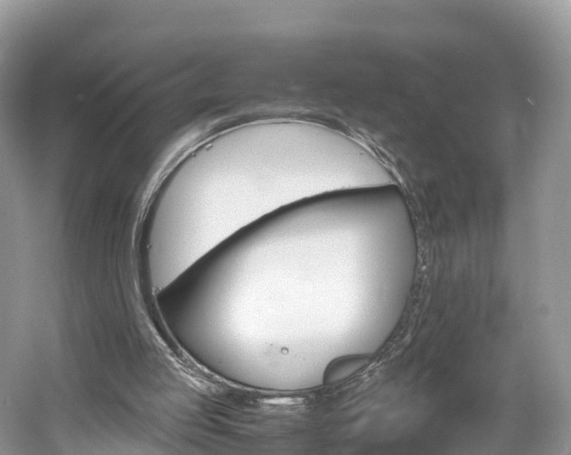 X0000061110053200511180945