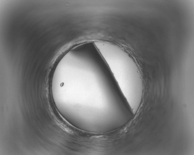 X0000061110054200511180945