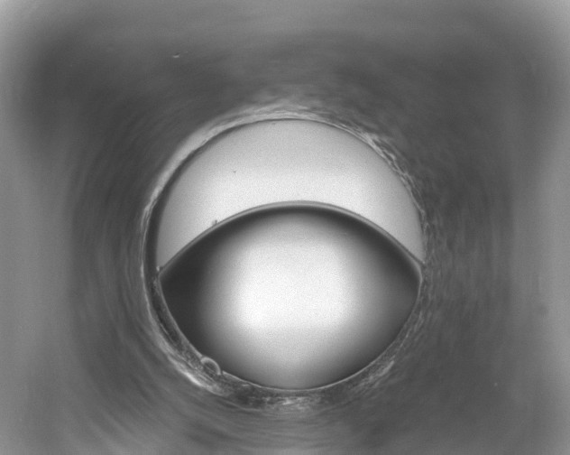 X0000061110056200511180945