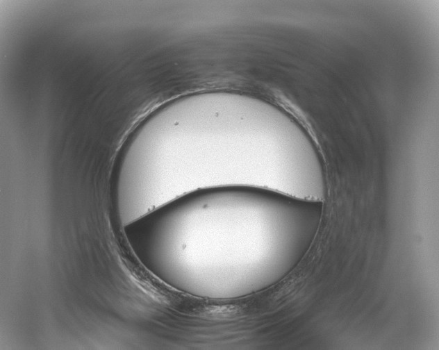 X0000061110059200511180945