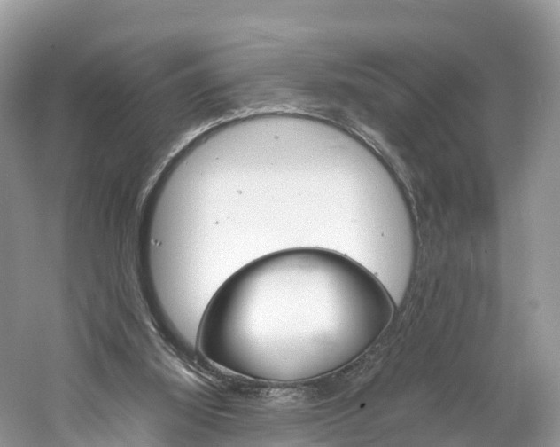 X0000061110060200511180945