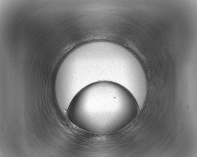X0000061110068200511180945