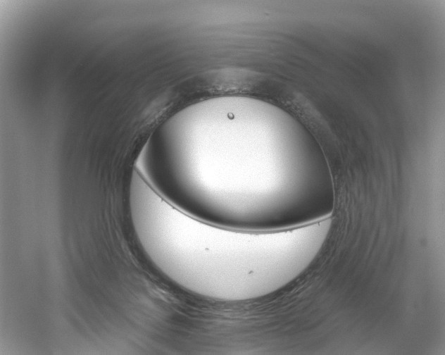 X0000061110076200511180945