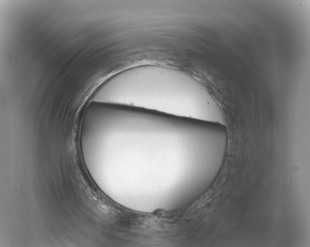 X0000061110098200511180945