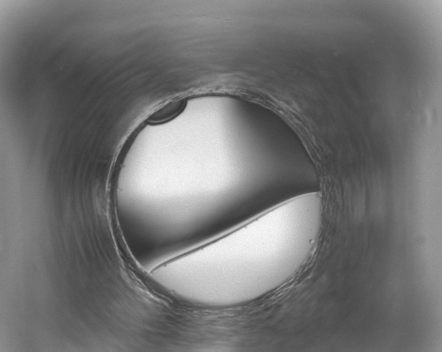 X0000061110100200511180945