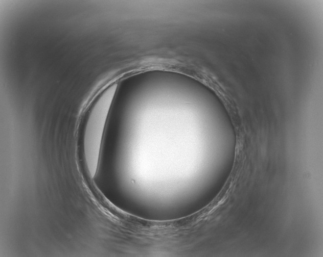 X0000061110101200511180945