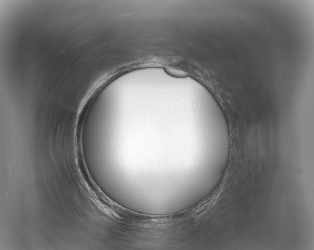 X0000061110102200511180945