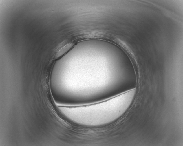 X0000061110105200511180945